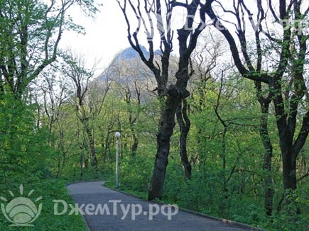 Терренкур в парке Железноводска