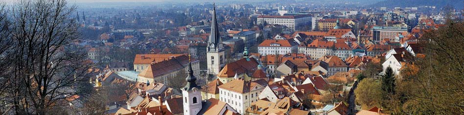 Любляна Град в Словении
