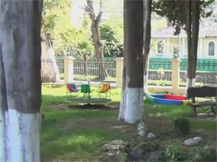 Видео детская площадка