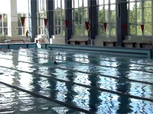 Видео олимпийский бассейн